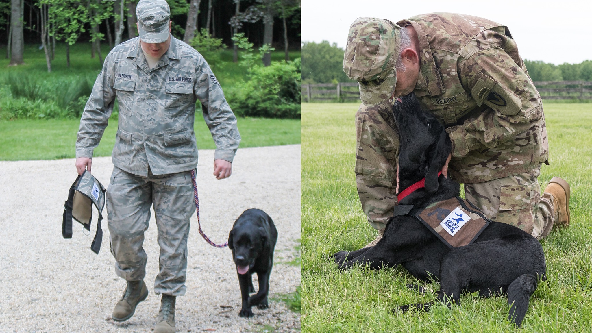 two pictures of a military man and a dog.